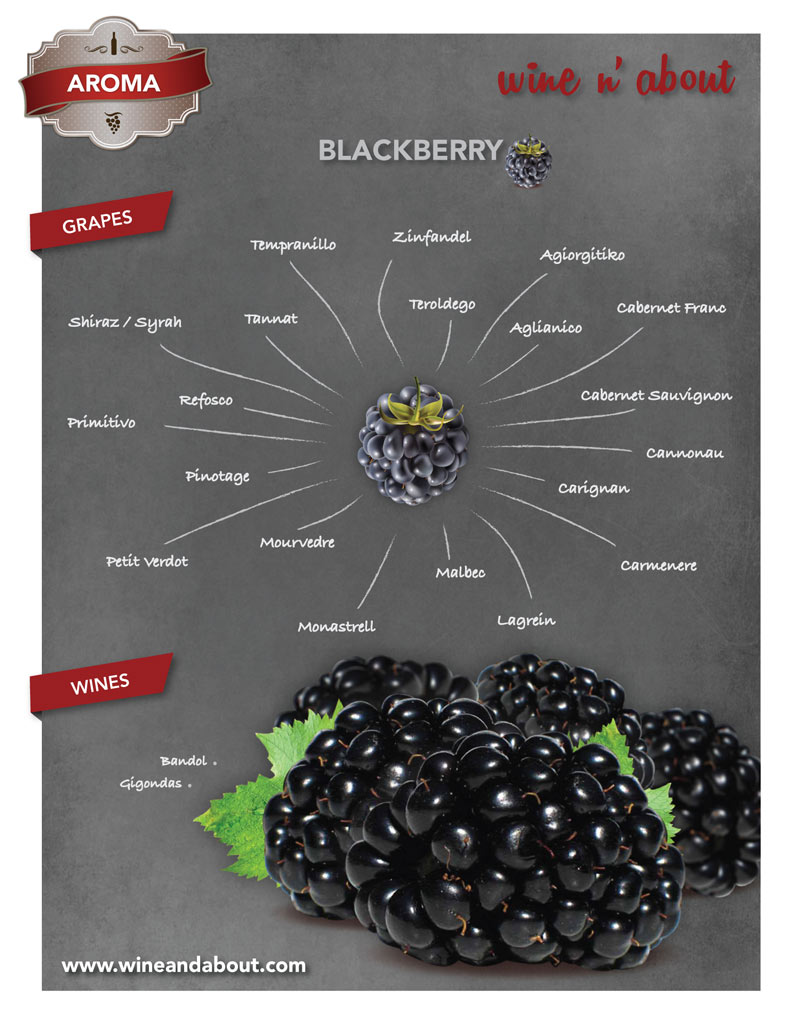 blackberry wine aroma infographic