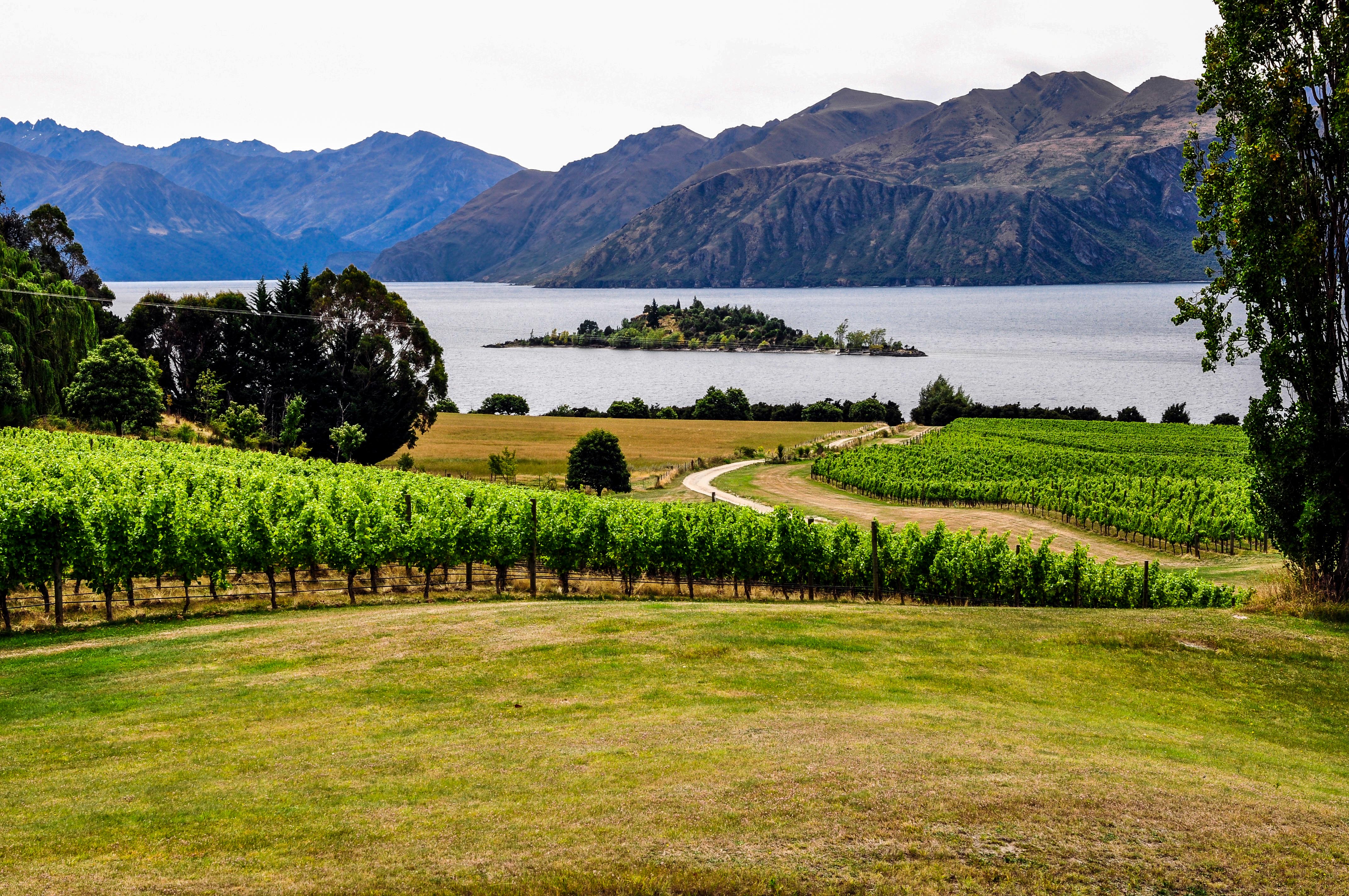 wine tour central otago