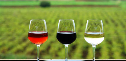 wine glasses different colors vineyard